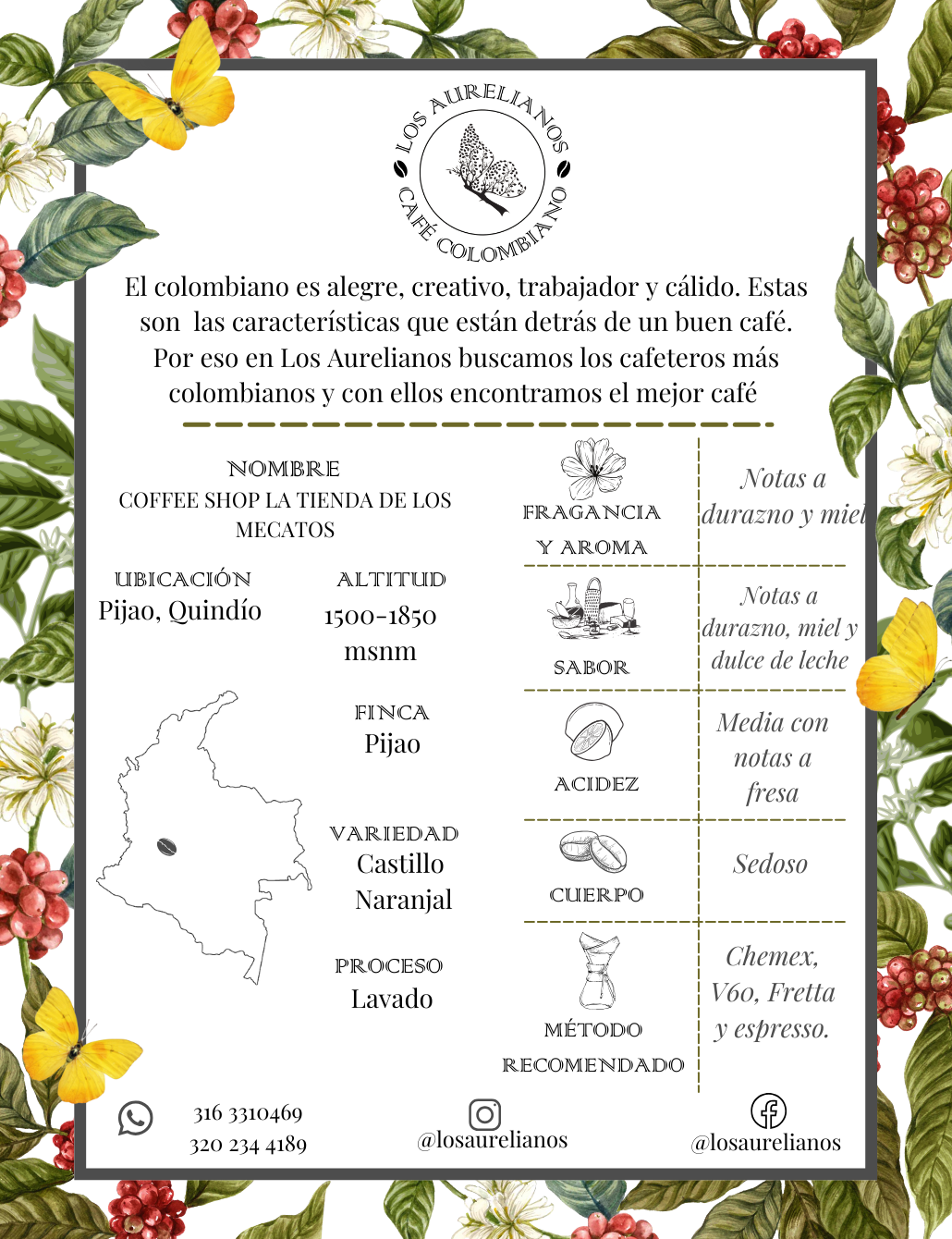 Coffee Shop - La Tienda de los Mecatos