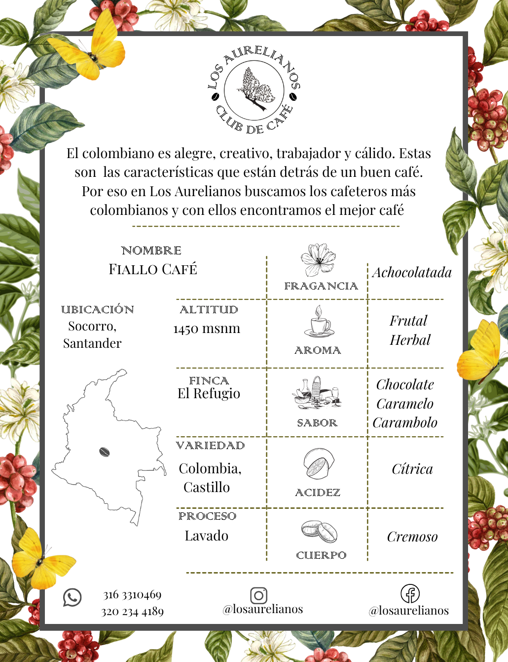 Fiallo Café