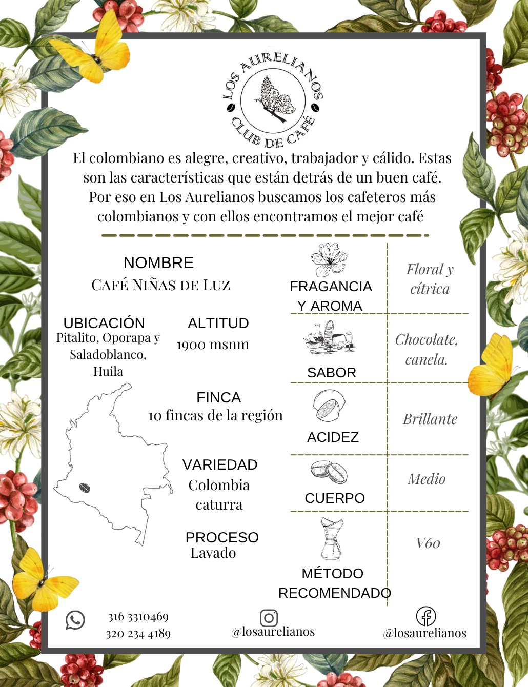 Niñas de Luz