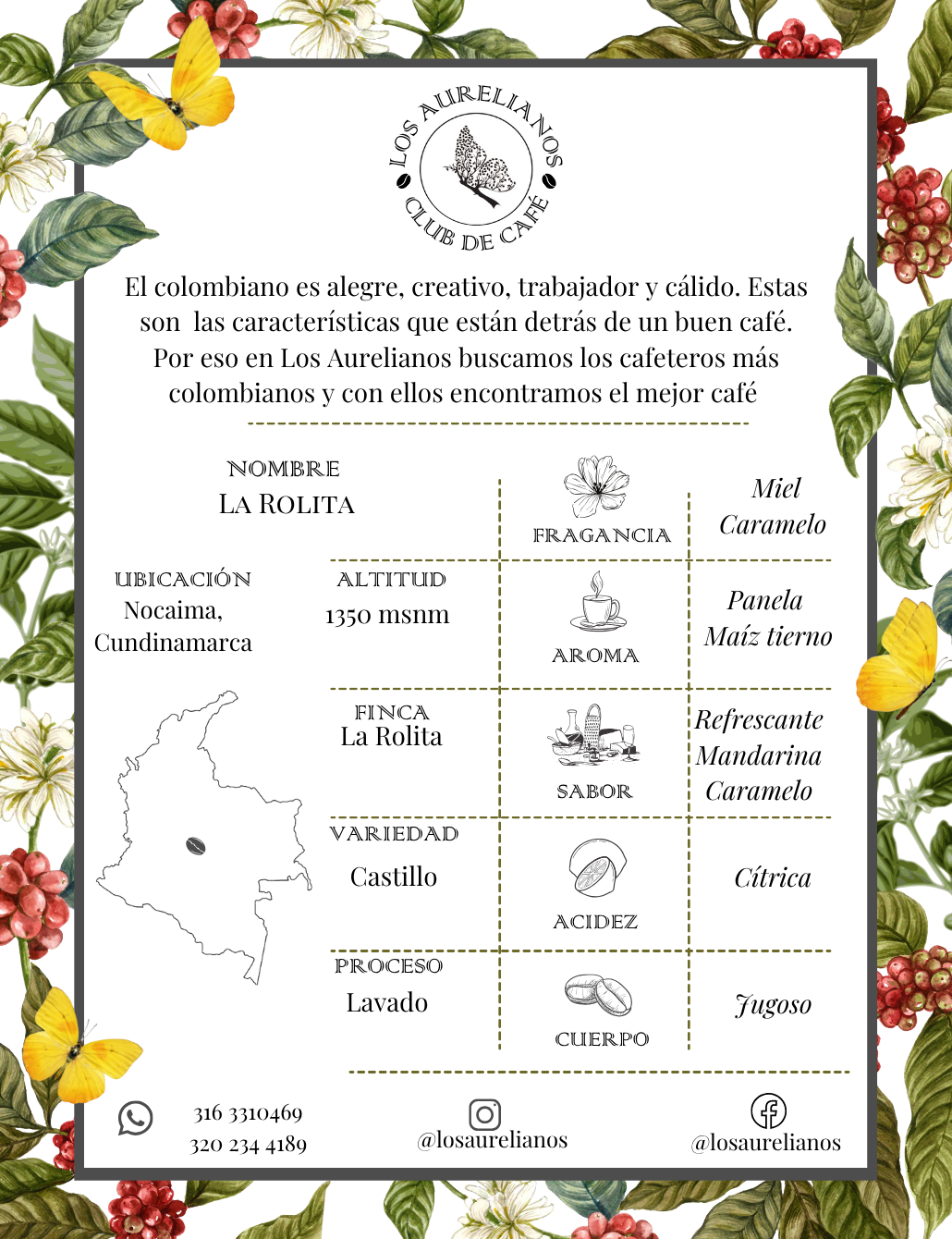 La Rolita