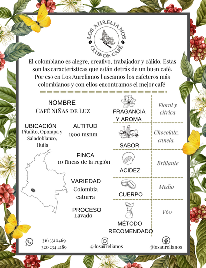 Niñas de Luz